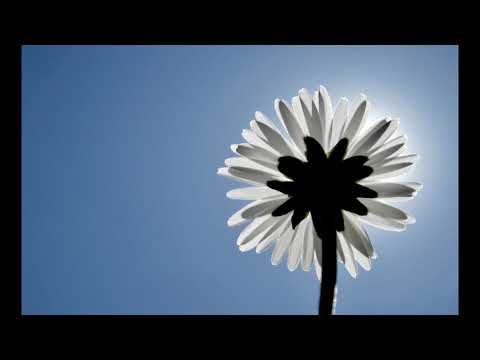 Seasonality of Change - YouTube