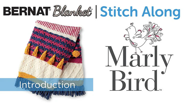 JOANN Stitchalong | Bernat Blanket | Knit Blanket ...