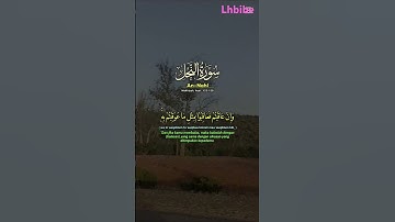 سورة النحل #اكسبلور #المراه #دويتو #الغلا #duet #الجيلي #تيك_توك #المراره #ترند #القرميد