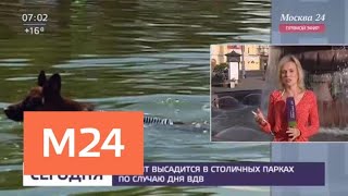 Десант высадится в столичных парках по случаю дня ВДВ - Москва 24 Десант высадится в столичных парках по случаю дня ВДВ - Москва 24