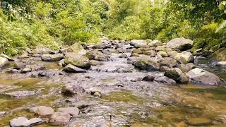 Calming Sound of Turquoise Mountain River. Nature Sounds, Flowing Water, White Noise for Sleeping.