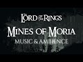 The lord of the rings mines of moria music and ambience  lotr ambient music