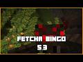Fetchr - Minecraft Bingo 5.3 - 272