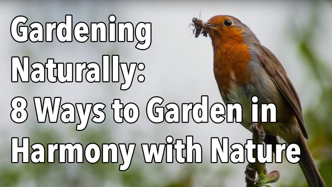 Gardening Naturally: 8 Ways to Garden in Harmony with Nature