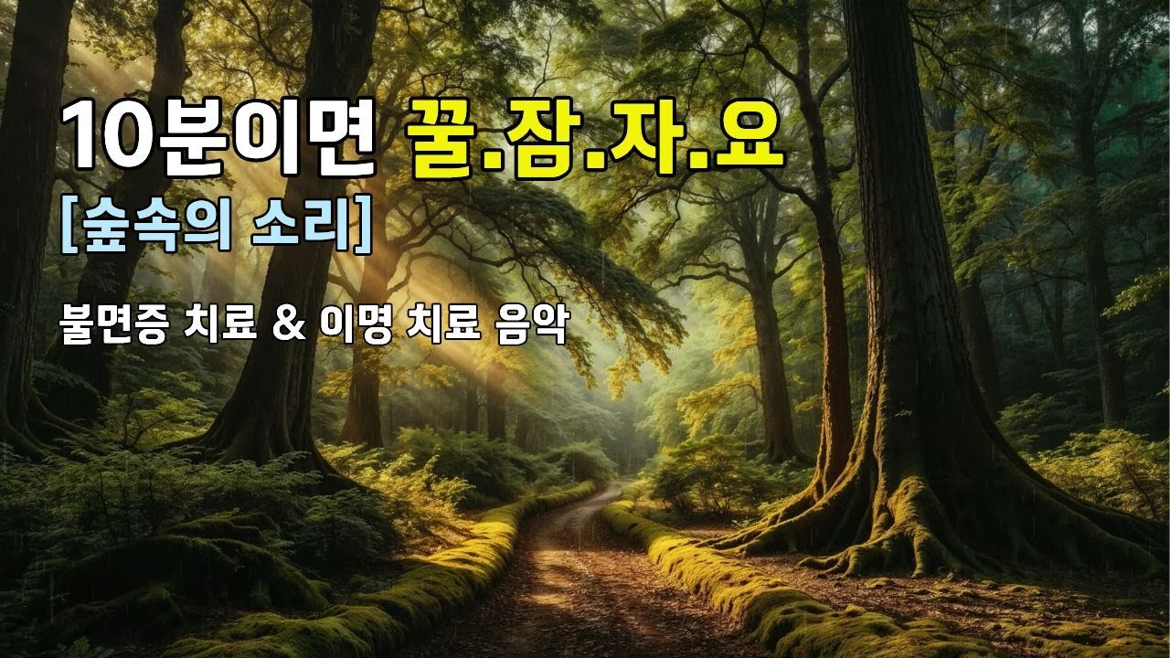 🎶비오는 숲속의 소리로 10분만에 꿀잠 자요 🌧️깊은 숙면, 불면증 해소, 이명치료｜달빛 아래 쉼터