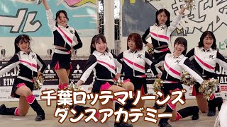 MDAチア mqdefault.jpg