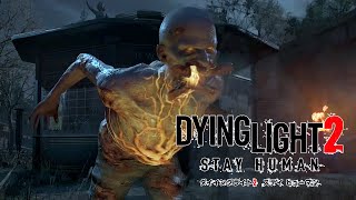 さっくり進めるDying Light 2：02