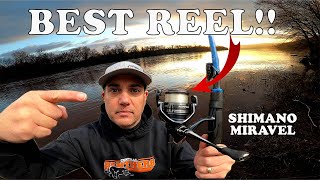 The Best Budget Reel!! Shimano Miravel 2500HG #shimanofishing #smallmouthbassfishing #fishing