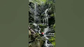 يوم تجد كل نفس ما عملت من خير محضرا#تلاوه للشيخ سيد سعيد#قناه نور القرآن الكريم #صلو علي النبي