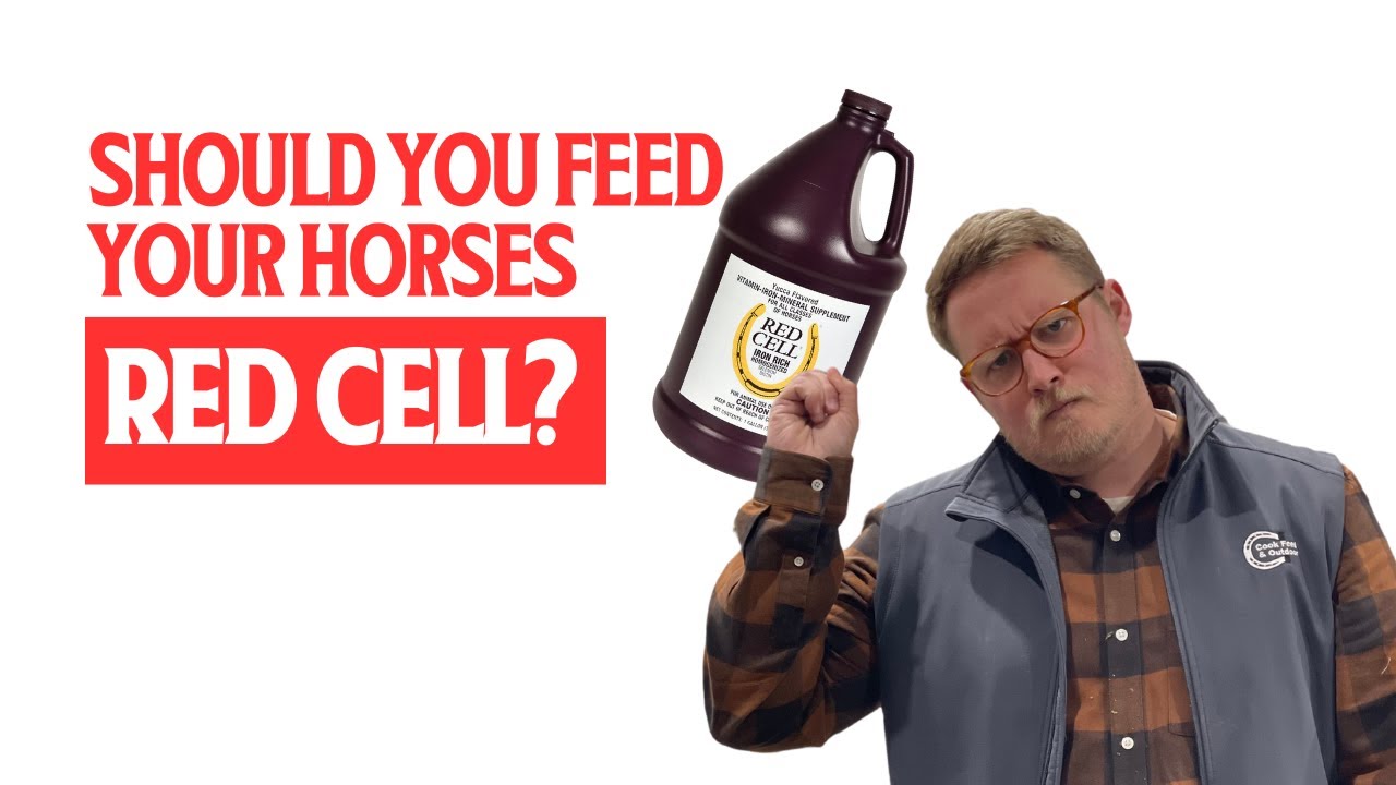 Why You Should Or Shouldn'T Feed Your Horse Red Cell - Youtube