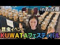 【昆虫イベント】名古屋KUWATAに参加したら魅力的な生体がたくさんだった！！