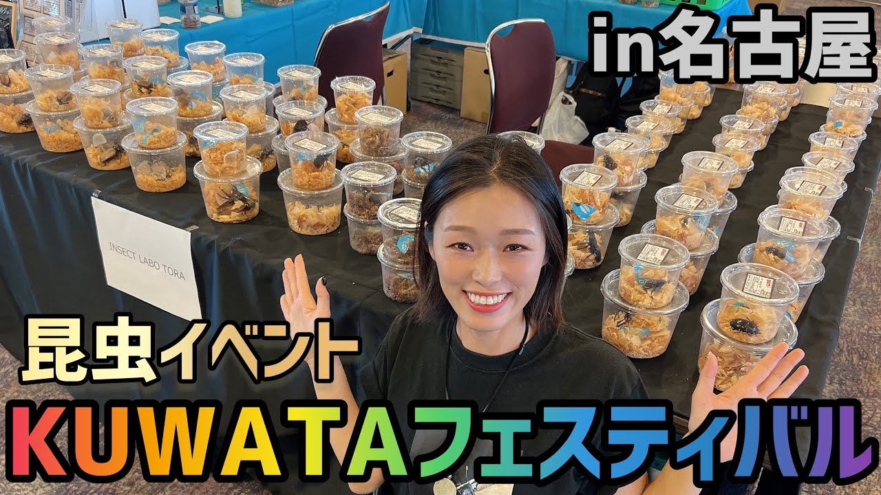 【昆虫イベント】名古屋KUWATAに参加したら魅力的な生体がたくさんだった！！