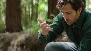 The Art Of Forest Bathing - Enjoying