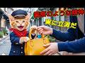 【感動】警察猫トラにゃん、銀座でひったくり犯を命懸けで追跡…負傷しながらも犯人逮捕に成功した勇気の物語😭🚔🐱