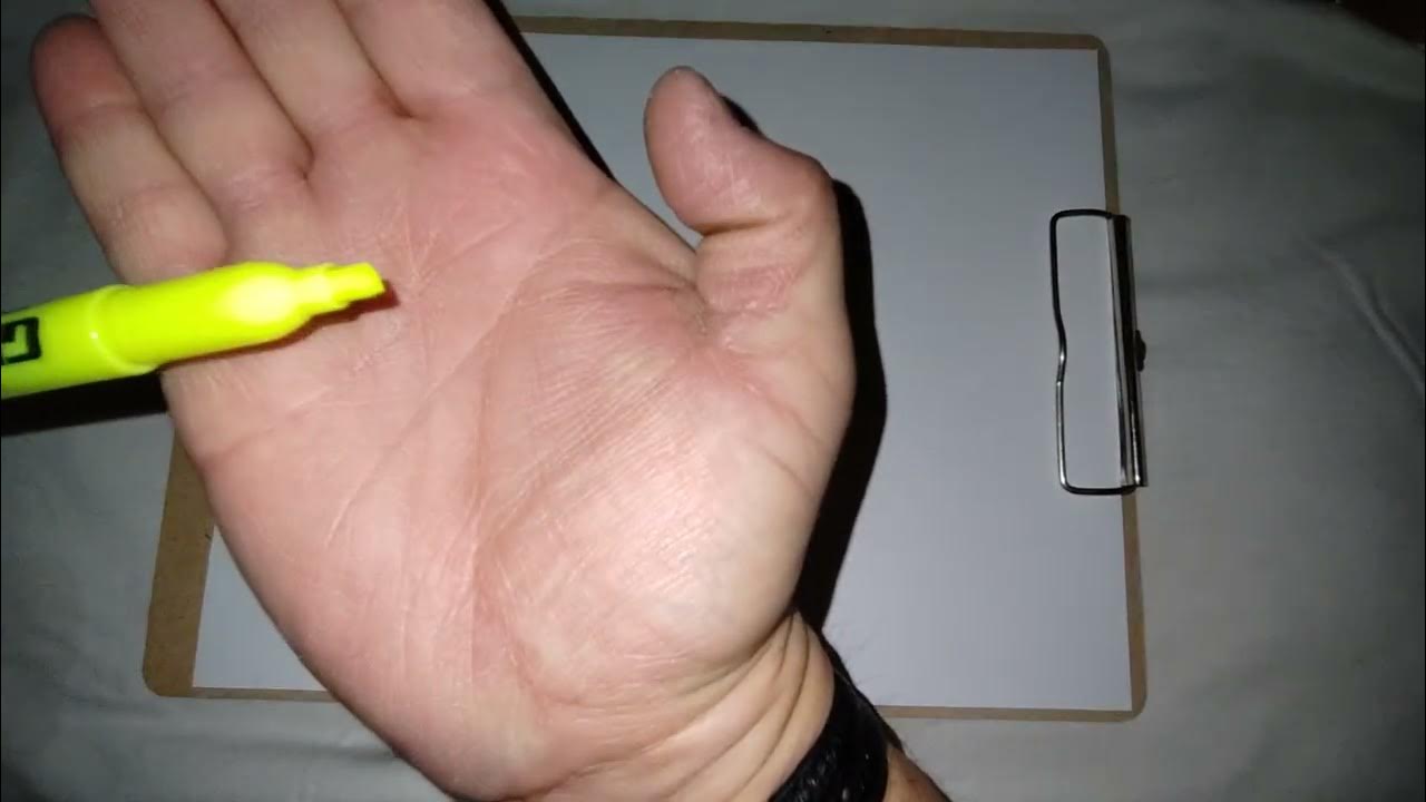 Promarx Glowline Highlighter Review (Dollar Tree Item) 👍 ️ YouTube