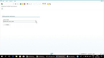 SAP Secuirty profile administration RZ10,RZ11
