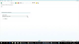 SAP Secuirty profile administration RZ10,RZ11