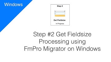 Step #2 Get Fieldsize Processing using FmPro Migrator [Windows]