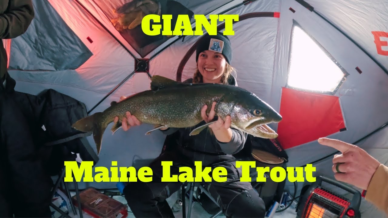 Гигантская озерная форель и наш лучший день подледной рыбалки.