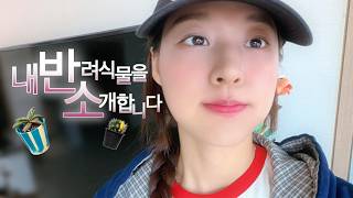 ENG SUB) 내 반려식물을 소개합니다🪴l 김설현 Vlog l 김설현 KIMSEOLHYUN