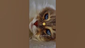 ابداع القارئ الصغير عبدالله احمد شعبان حفظه الله في سورة طه🥺🎧🤍