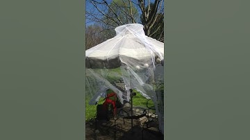 Mosquito netting on umbrella lol 2018