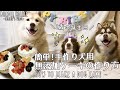 簡単！手作り無添加 犬用ケーキの作り方☆ボーダーコリー２歳の誕生日 / How to make handmade additive-free dog cake