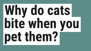 Why do cats bite when you pet them?