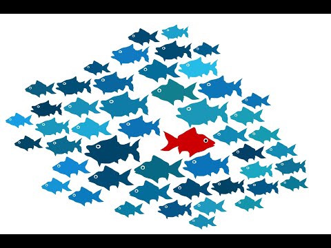 Understanding Outlier Detection with Python