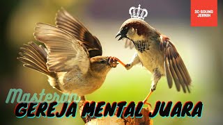 TEMBAKAN GEREJA TARUNG MENTAL JUARA NASIONAL