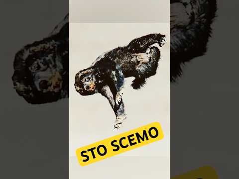 Quel deficiente del TASSO DEL MALE