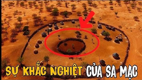 💥 Sa Mạc Sahara | Cuộc Chiến Sinh Tồn Của Loài Rắn Sừng | Khám Phá Thế Giới Động Vật Hoang Dã