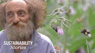 Permaculture: Growing Vegetables at Glastonbury | Sustainable Stories | Earth Unplugged by BBC Earth Unplugged 29,469 views 4 years ago 3 minutes, 57 seconds