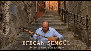 Efecan Şengül - Dünyanın İşine Akıl Ermiyor
