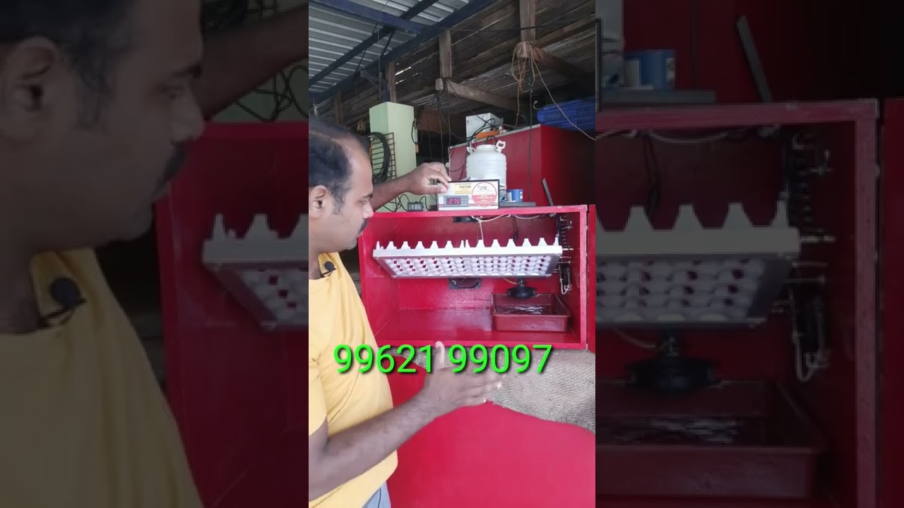 best 60eggs automatic incubator NAMAKKAL 