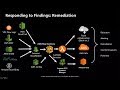 Remediating Amazon GuardDuty and AWS Security Hub Findings - AWS Online Tech Talks