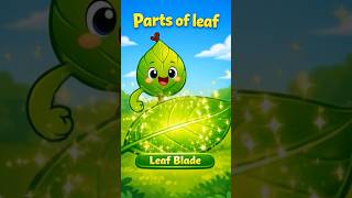 Parts of leaf ! #shortsfeed #kids #science #kidsvideo #sciencefacts #shortvideo #education #nature