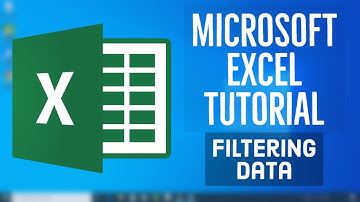 Microsoft Excel Tutorial - Filtering Data | How to Filter in Excel