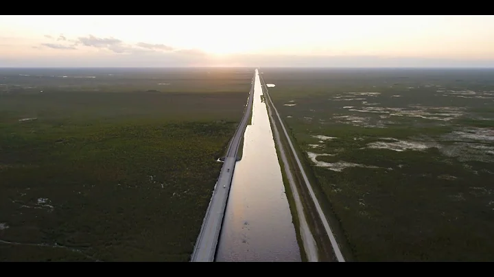 Ocean to the Everglades: Part 2
