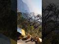 nainital visit in uttarakhand #shortvideo #nature #travel