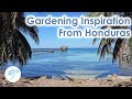 Cold weather tropical gardens inspirations from honduras