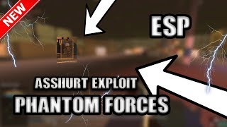 *NO LEVEL 7/SCRIPT* PHANTOM FORCES EXPLOIT | UNPATCHABLE ESP | PATCHED EXPLOIT