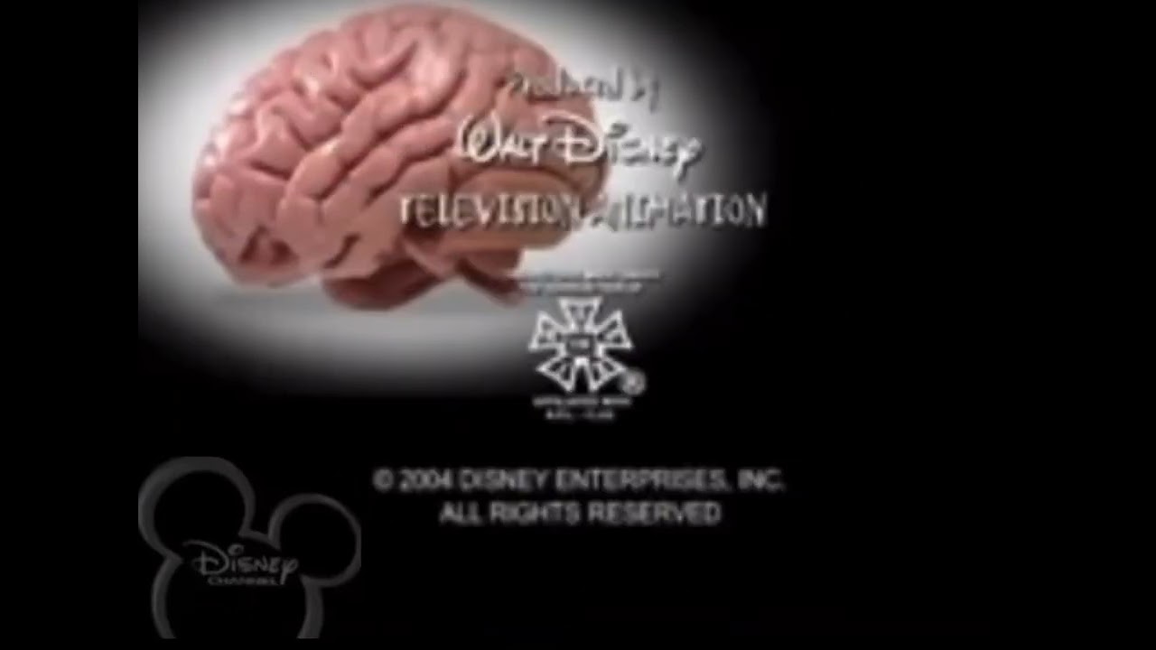 Walt Disney Television Animation/Buena Visita International Inc (2004)