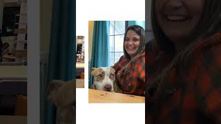 How to Make a Composite Video in Canva: Step-by-Step for Nonprofits | Example Video
