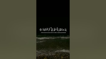 سوره الشعراء الايه 105 - 122 القارئ #ياسر_الدوسري #سورة_الشعراء