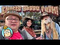 Amazing Day at Knotts Berry Farm - Riding Stagecoach, Calico Railroad Train and More