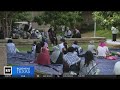 Ut dallas propalestinian student protestors sitin at administration building for the 2nd day in a