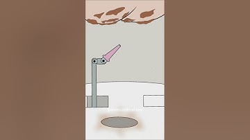 New Toilet Technology! 🤣😂 (best animation memes) #shorts