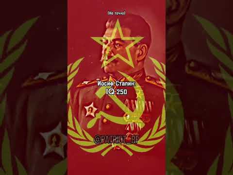 IQ И. В. Сталина(Не подтверждённые данные) #патриотрф #ussr #stalin