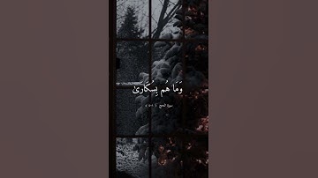 تلاوة خاشعة هادئة بصوت ماهر المعيقلي ارح سمعك .